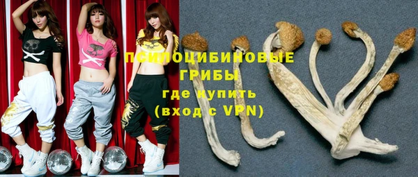 бошки Абаза