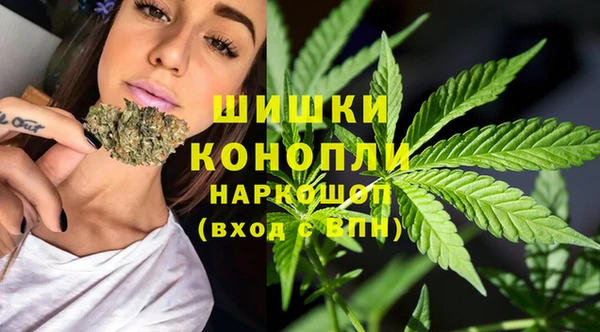 ешки Алзамай