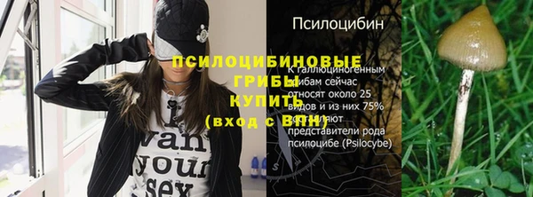 Альфа ПВП Остров