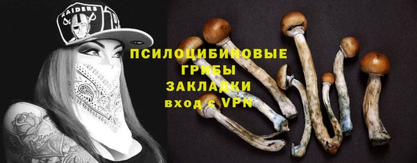 бошки Абаза