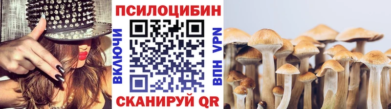 блэк спрут зеркало  Ува  Галлюциногенные грибы Psilocybine cubensis 